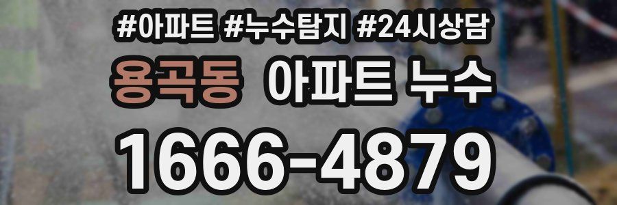 용곡동 누수탐지