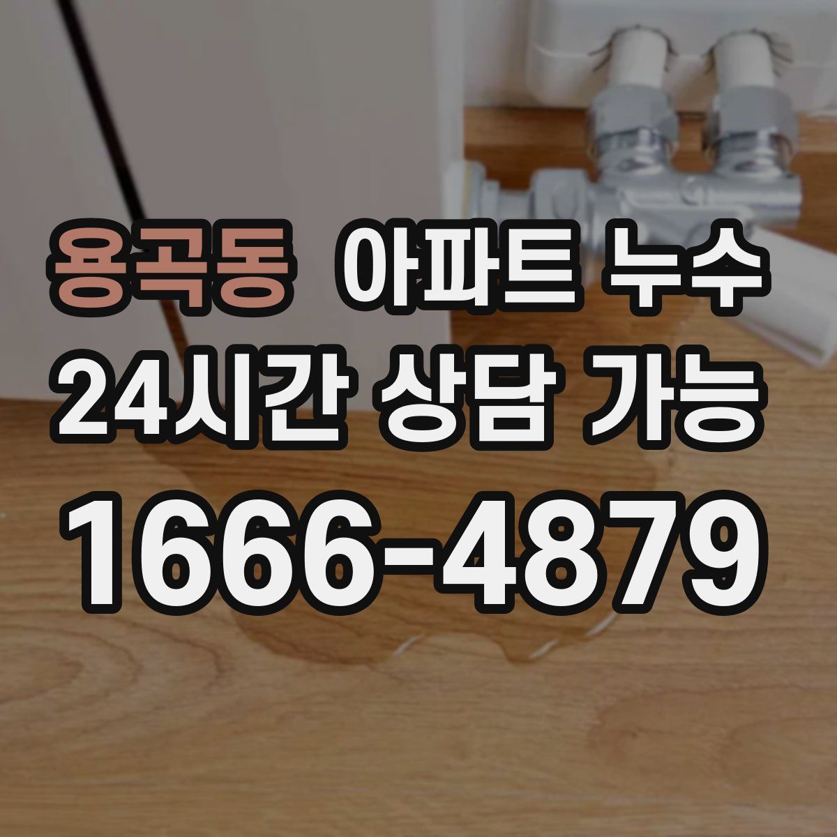 용곡동 아파트 누수탐지