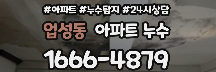 업성동 누수탐지