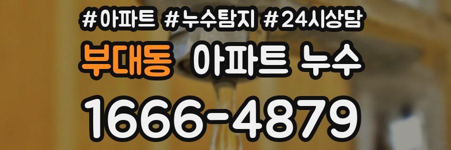 부대동 누수탐지