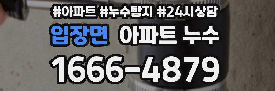 입장면 누수탐지