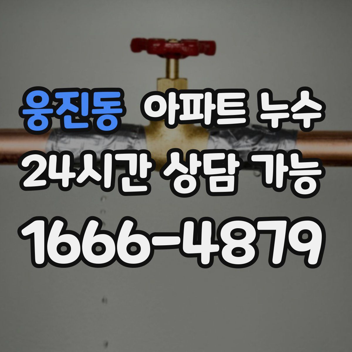 웅진동 아파트 누수탐지