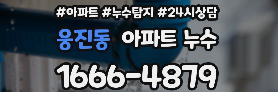 웅진동 누수탐지