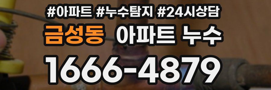 금성동 누수탐지