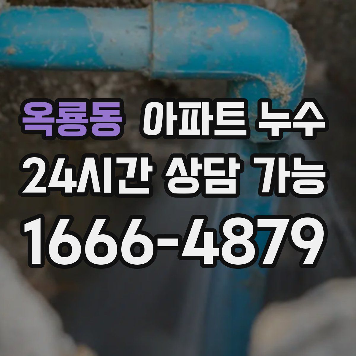 옥룡동 아파트 누수탐지