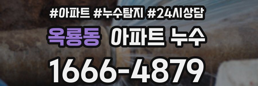 옥룡동 누수탐지