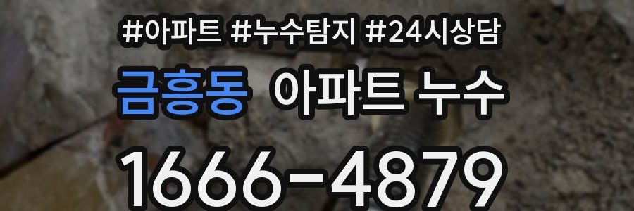 금흥동 누수탐지