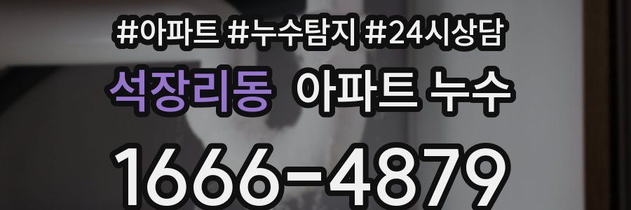 석장리동 누수탐지