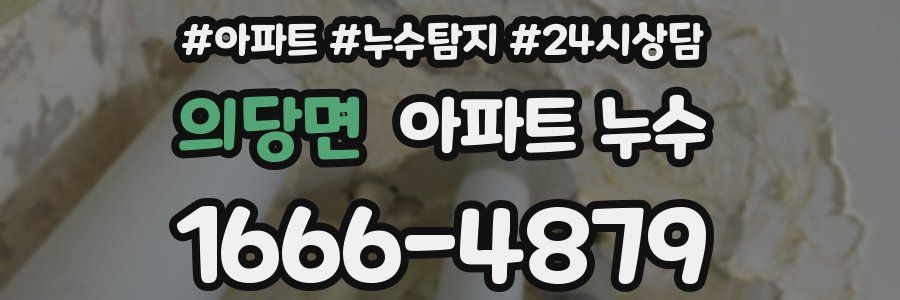 의당면 누수탐지