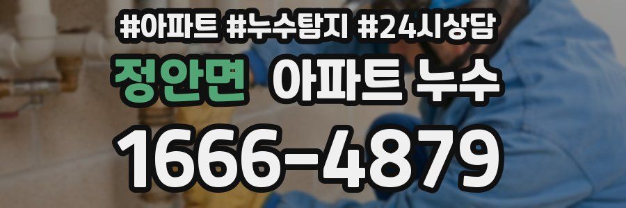 정안면 누수탐지