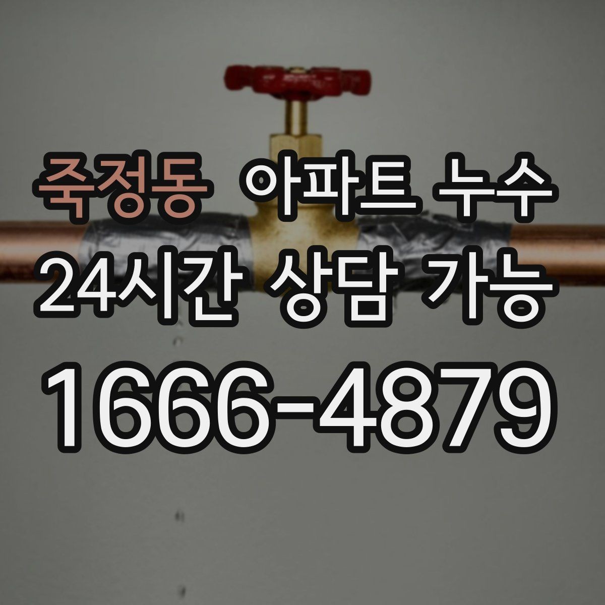 죽정동 아파트 누수 세탁실 다용도실 물기 반복될 때