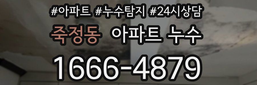 죽정동 누수탐지