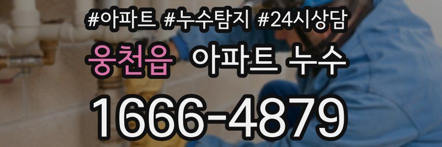 웅천읍 누수탐지