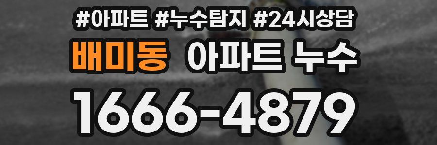 배미동 누수탐지