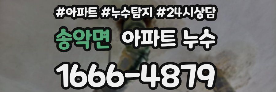 송악면 누수탐지