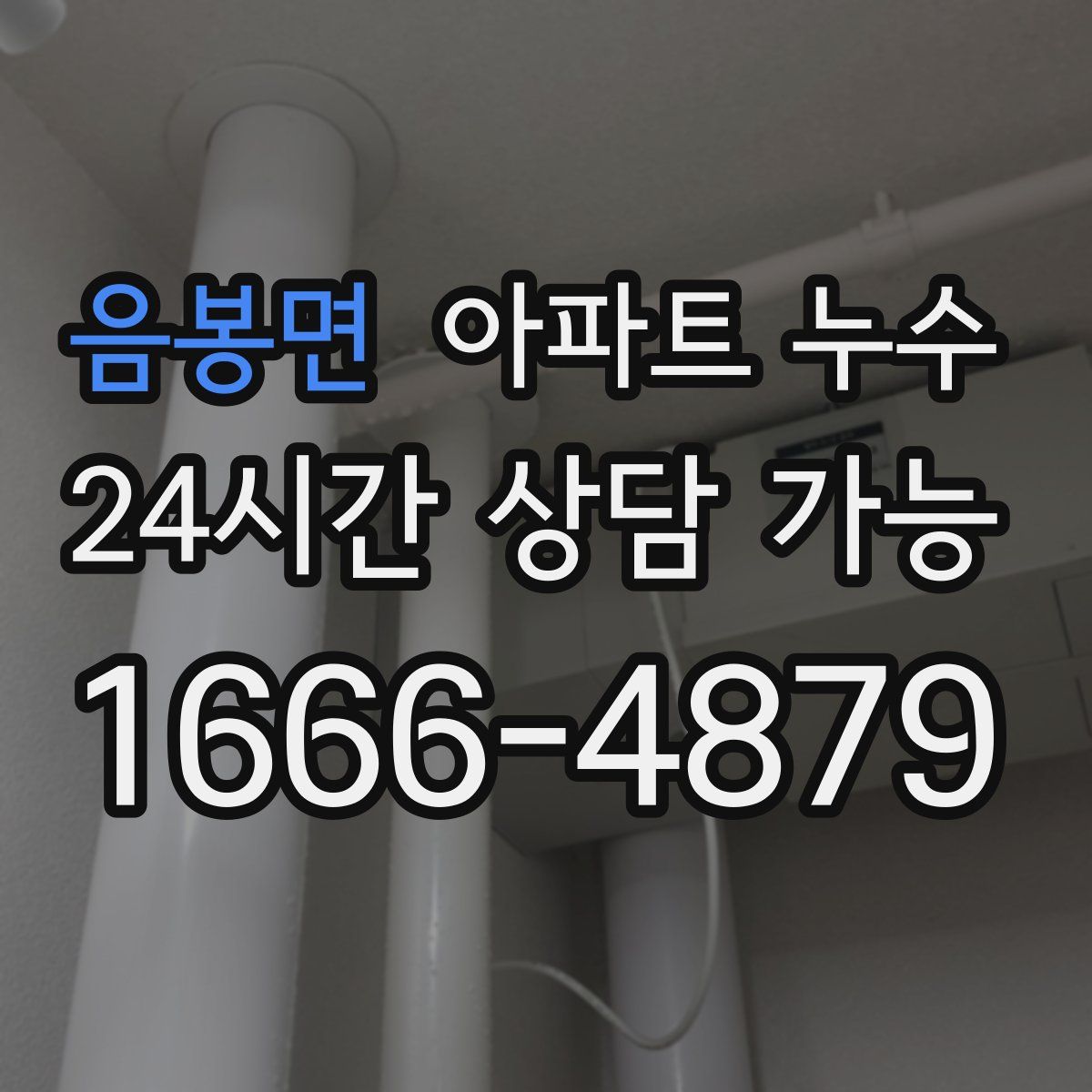 음봉면 아파트 누수탐지