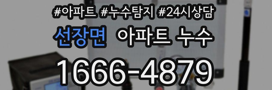 선장면 누수탐지