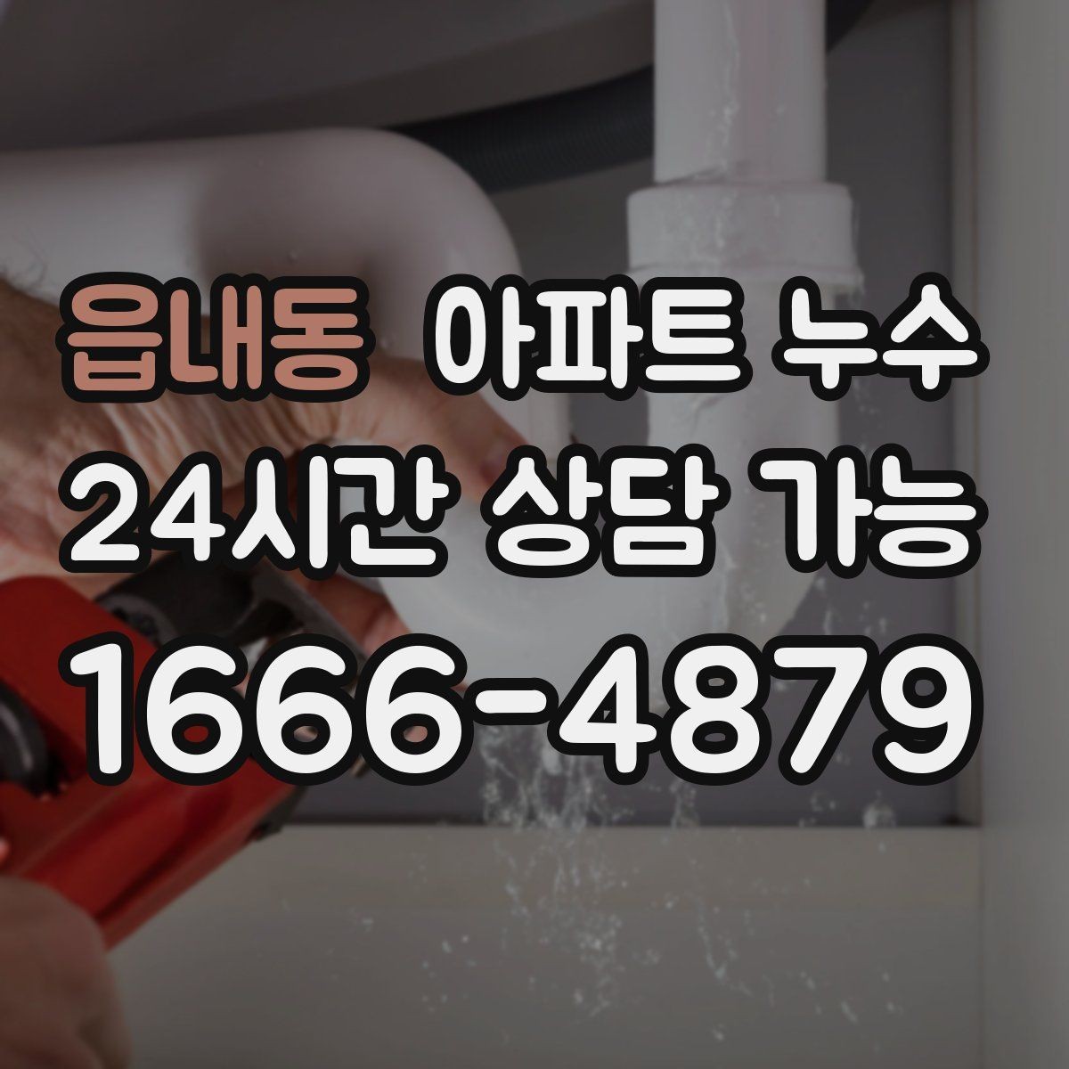 읍내동 아파트 누수 천장 얼룩이 넓어질 때의 대응