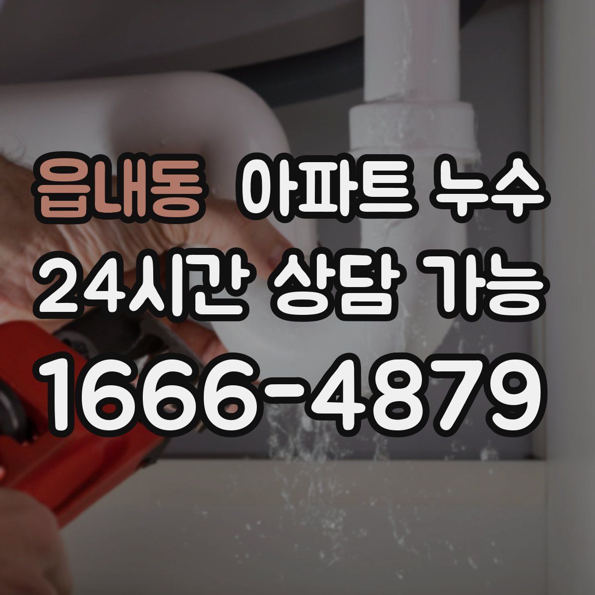 읍내동 아파트 누수탐지