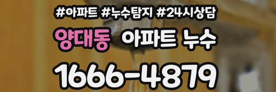 양대동 누수탐지