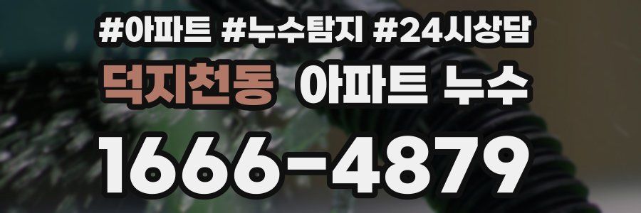 덕지천동 누수탐지