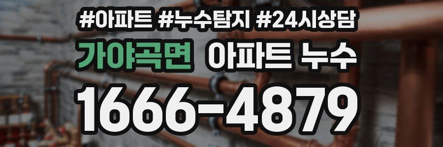 가야곡면 누수탐지