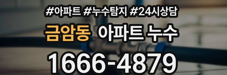 금암동 누수탐지