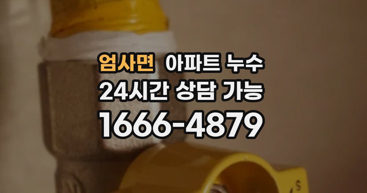 엄사면 아파트 누수