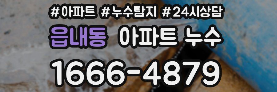 읍내동 누수탐지