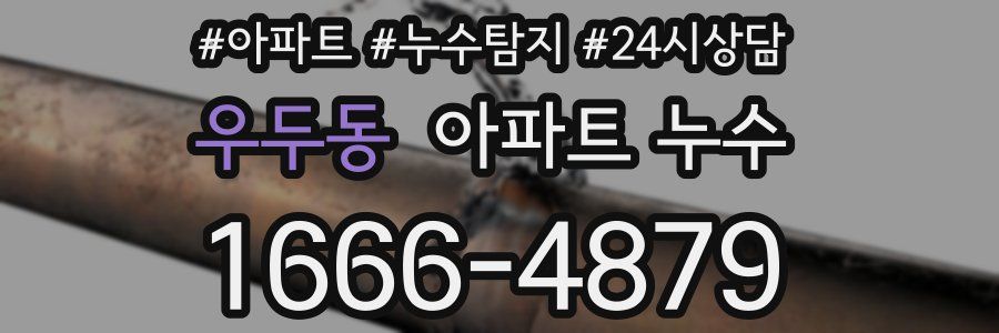 우두동 누수탐지