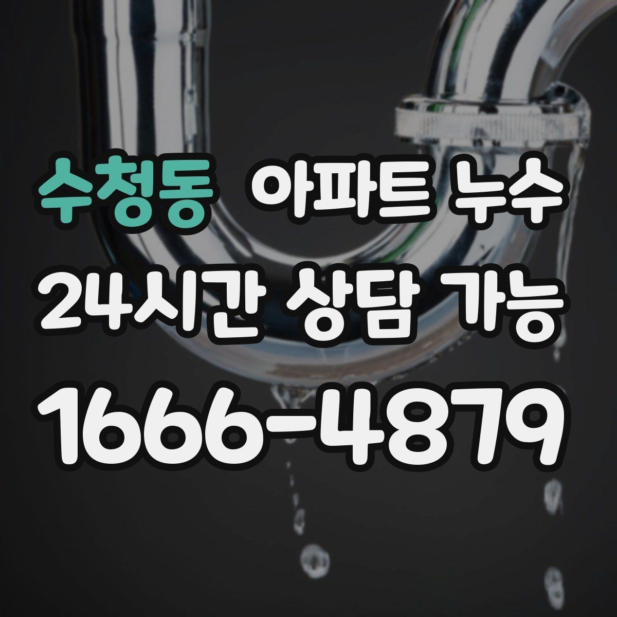 수청동 아파트 누수 곰팡이가 늘어날 때 비용 커지기 전 피해 최소화