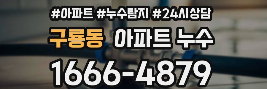 구룡동 누수탐지