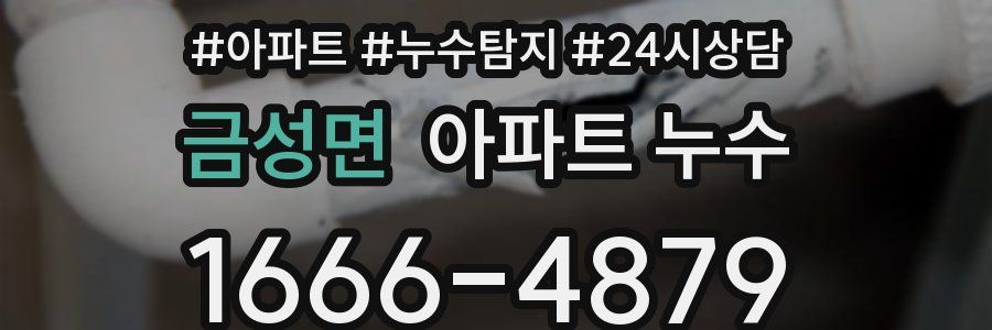 금성면 누수탐지