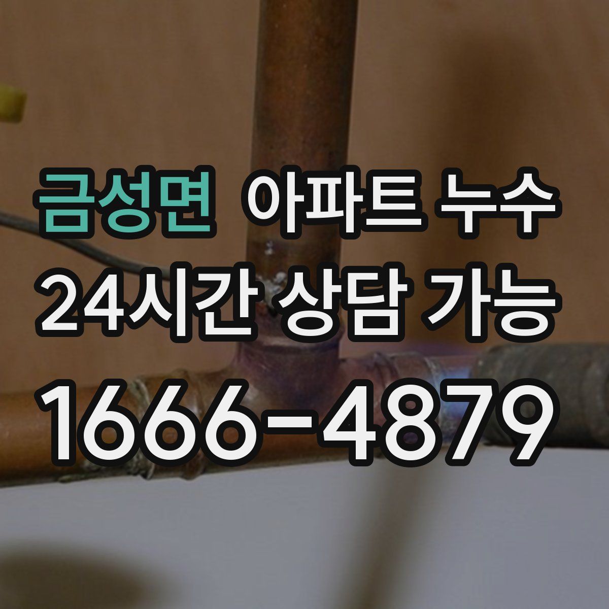 금성면 아파트 누수탐지