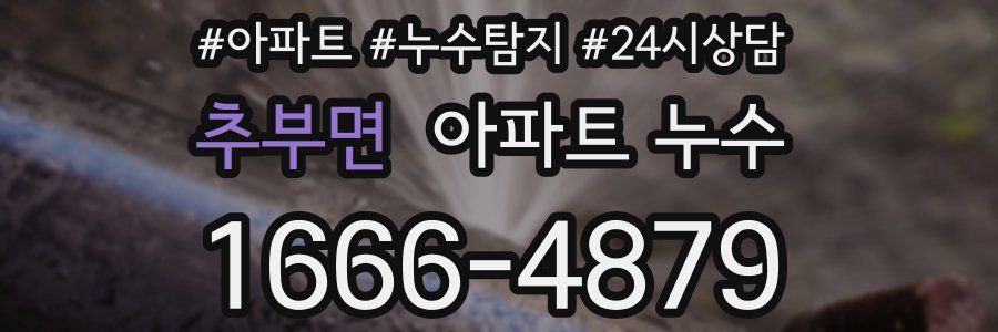 추부면 누수탐지