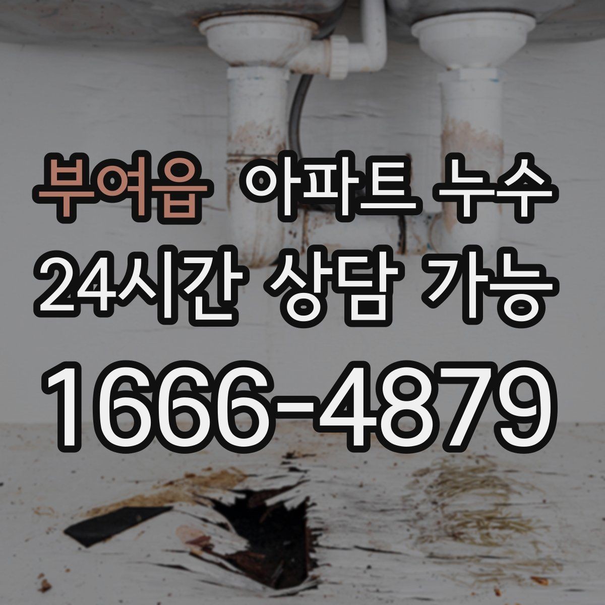 부여읍 아파트 누수 싱크대 아래 물기 보이면 원인 확인부터 정리