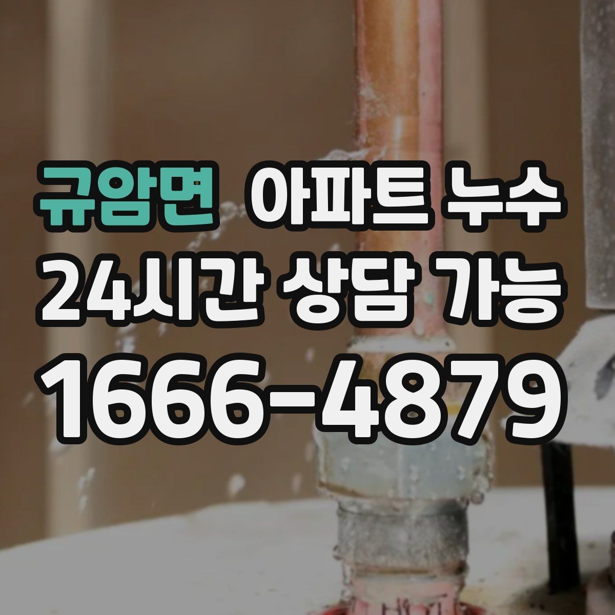 규암면 아파트 누수 욕실 타일 주변이 계속 젖을 때