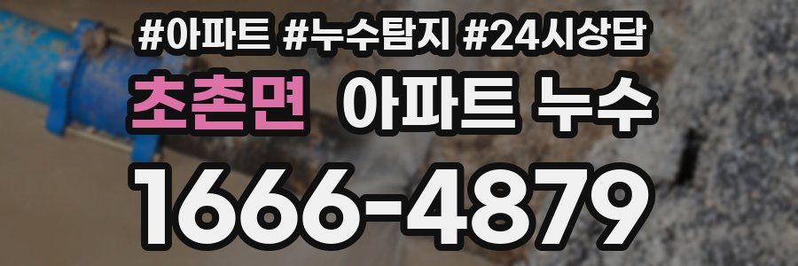 초촌면 누수탐지