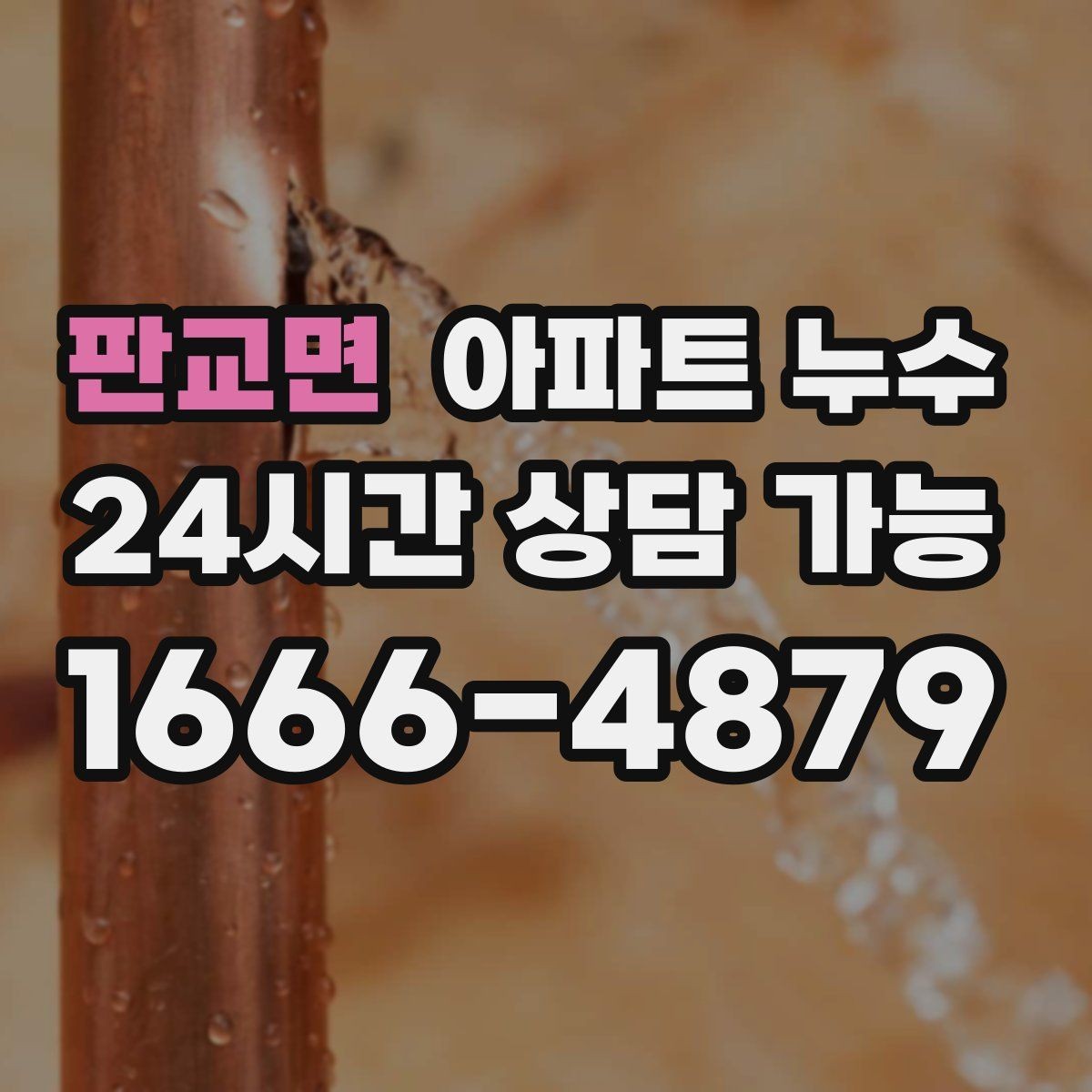 판교면 아파트 누수 주방 하부장 습기 커지기 전 초기 대응 체크