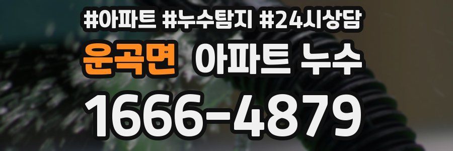 운곡면 누수탐지