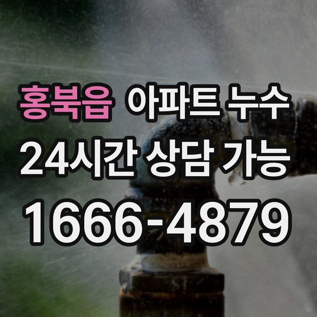 홍북읍 아파트 누수 천장 전선 주변 변색이 보일 때