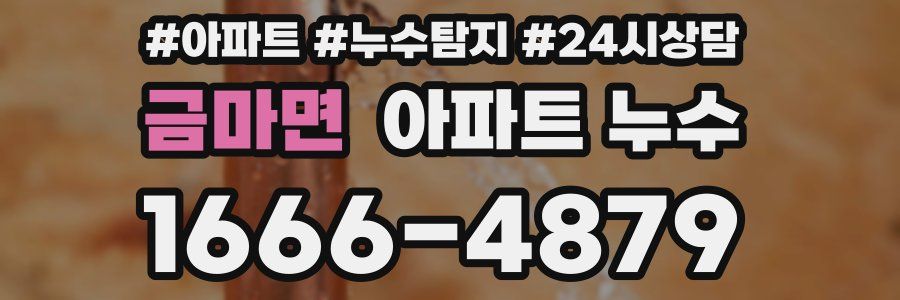 금마면 누수탐지