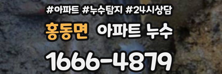 홍동면 누수탐지