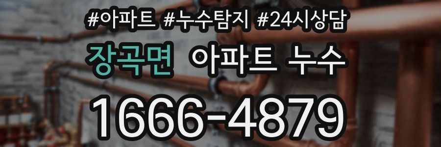 장곡면 누수탐지