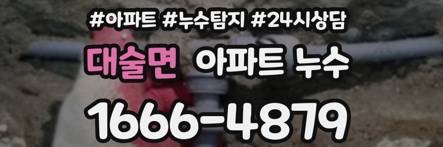 대술면 누수탐지