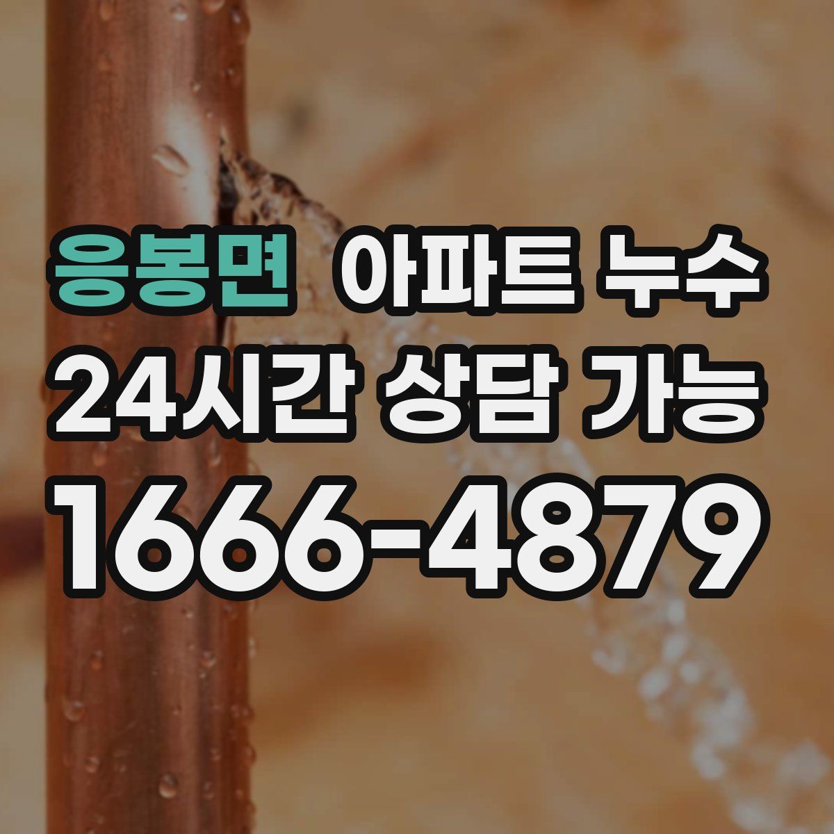 응봉면 아파트 누수탐지