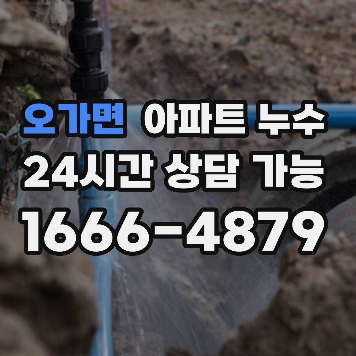 오가면 아파트 누수 시간대별로 달라지는 증상 해석