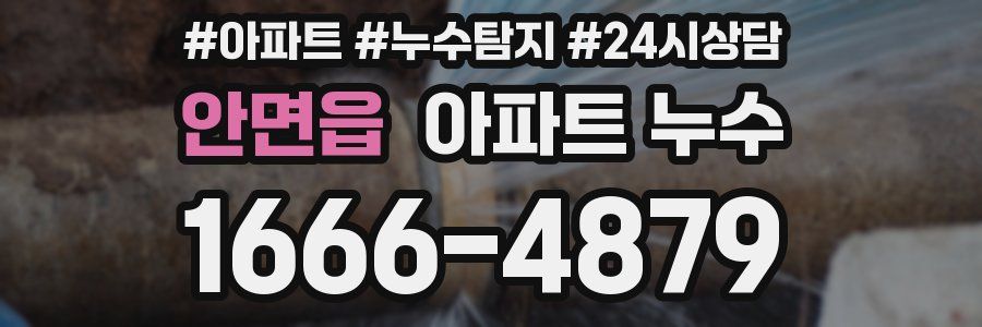 안면읍 누수탐지