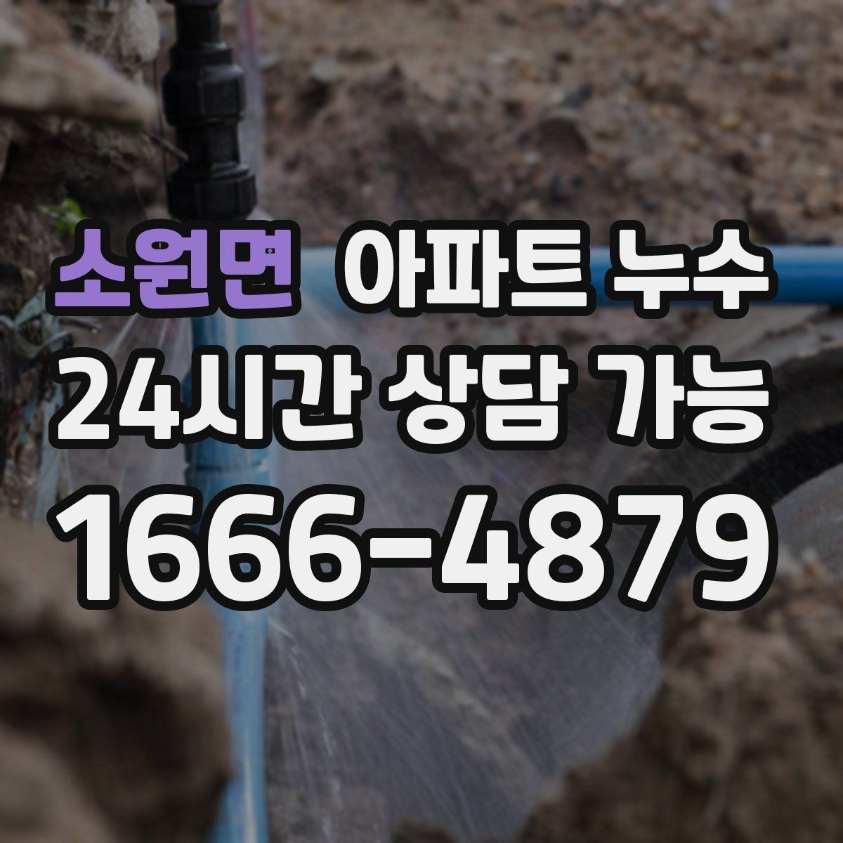 소원면 아파트 누수 바닥 타일이 차갑고 축축할 때