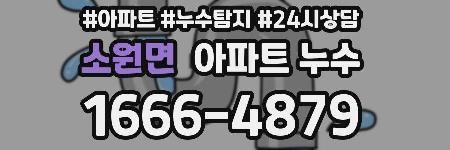 소원면 누수탐지